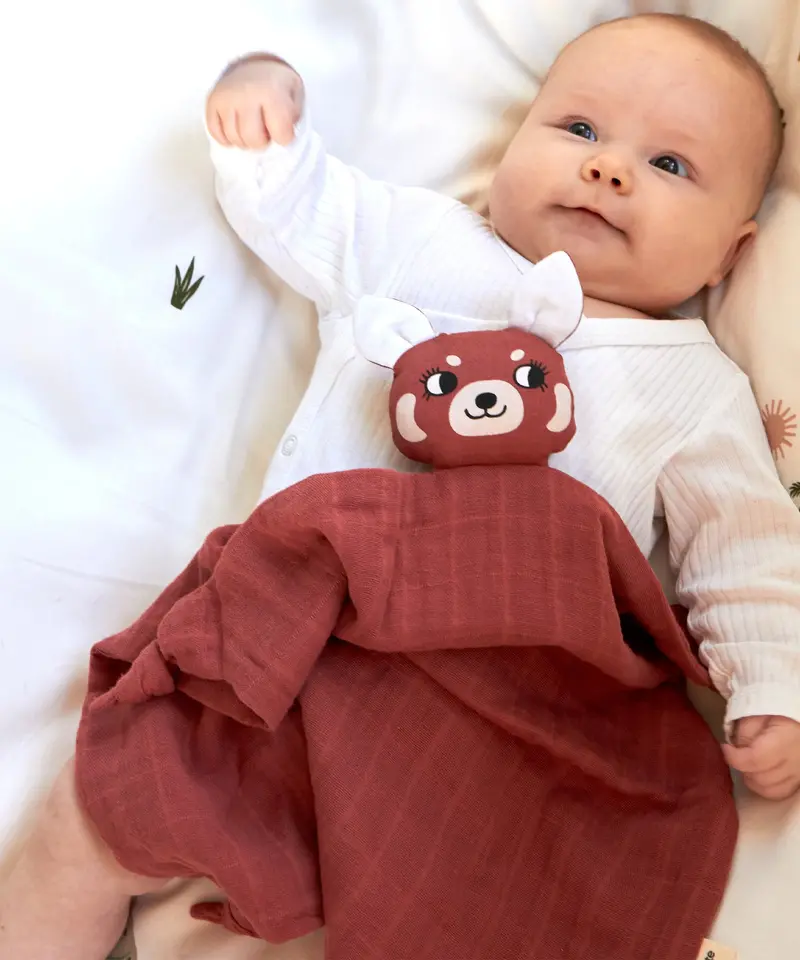 Roommate Red Panda Cuddle Cloth 2