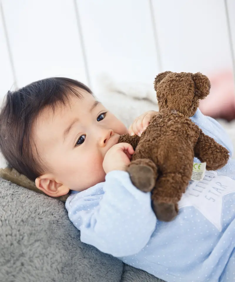 Senger Baby Brown Bear 2