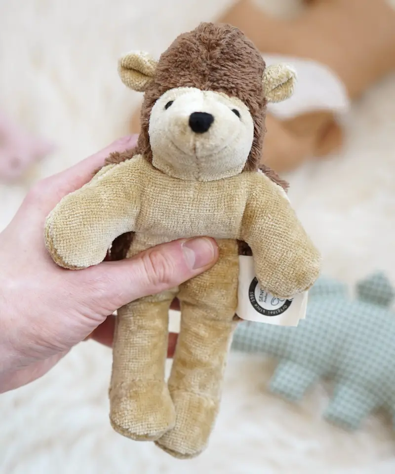 Senger Baby Hedgehog 1