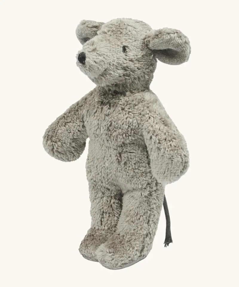 Senger Baby Mouse 1