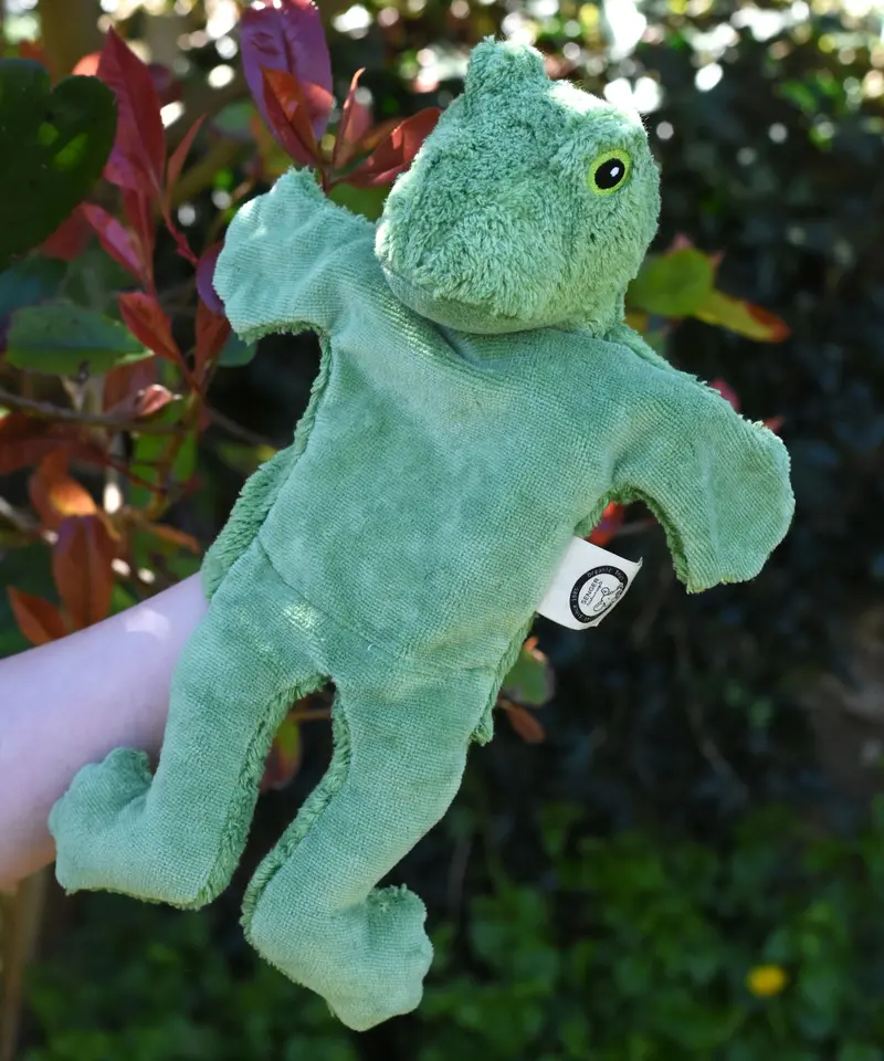 Senger Hand Puppet - Frog 1