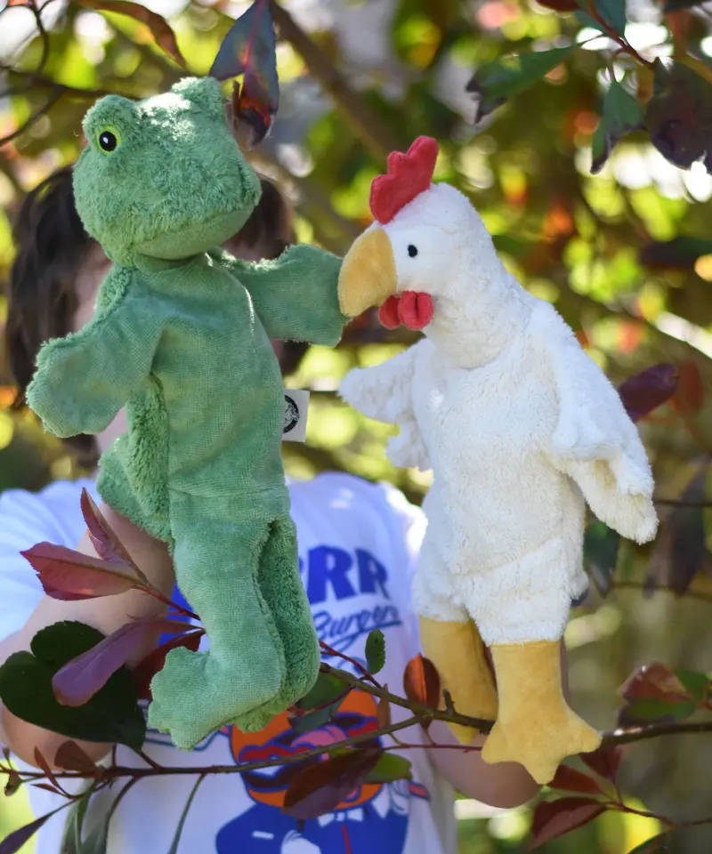 Senger Hand Puppet - Frog 2
