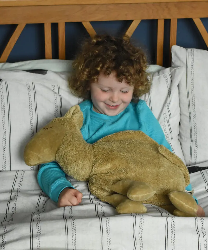 Senger Large Cuddly Camel 1