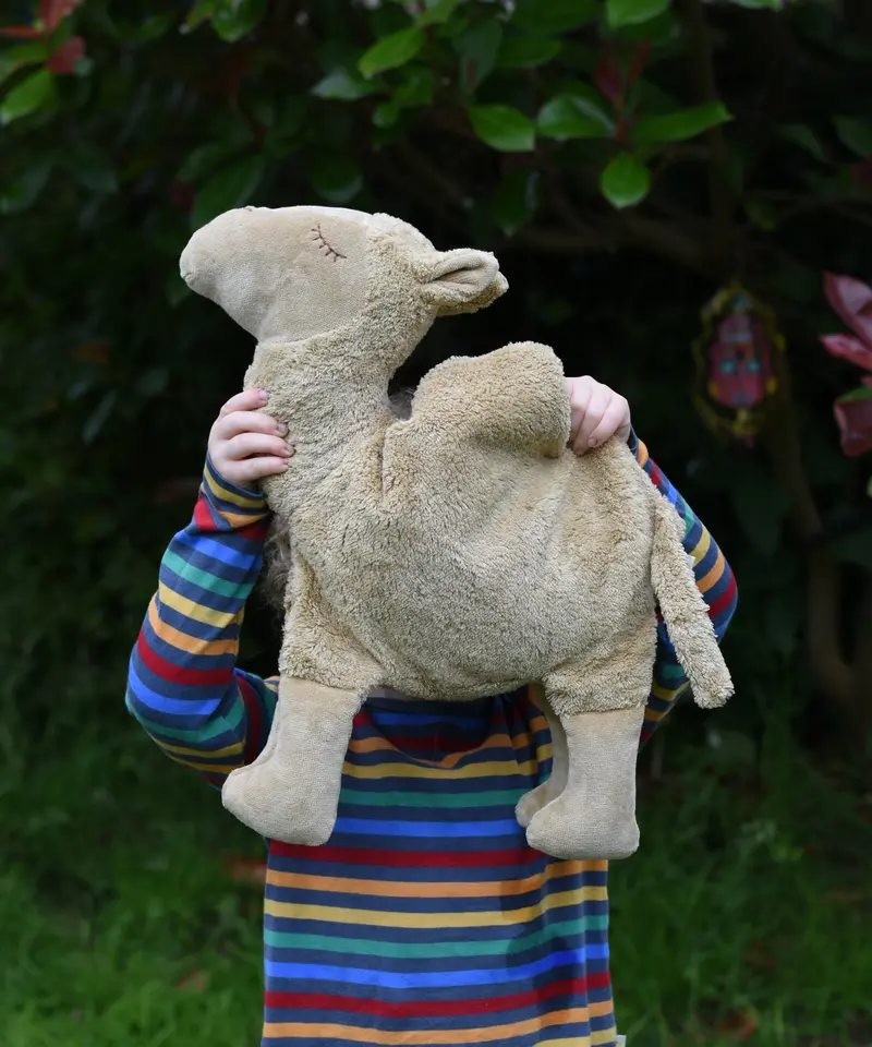 Senger Large Cuddly Camel 2