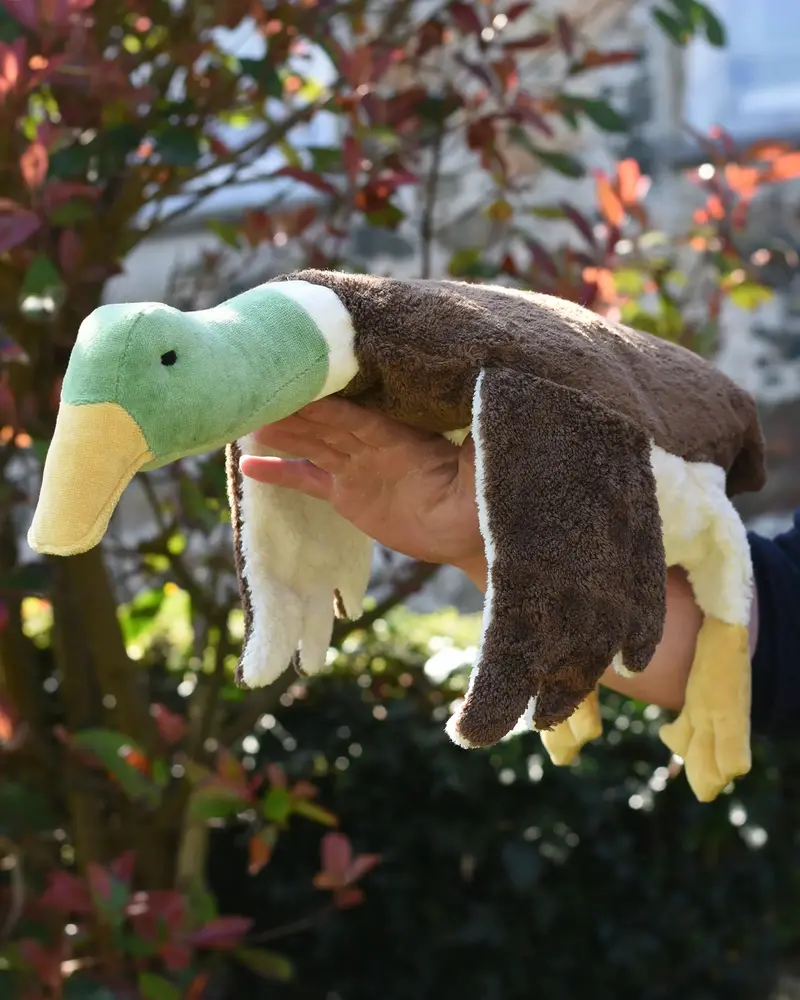 Senger Large Cuddly Drake Duck 1