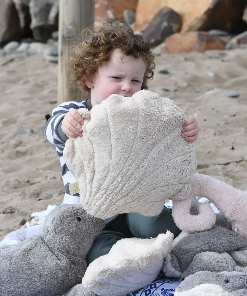 Senger Large Cuddly Sea Shell 1