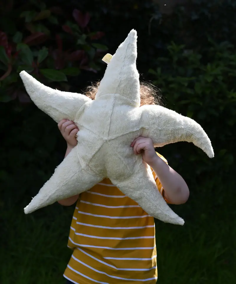 Senger Large Cuddly Starfish 1