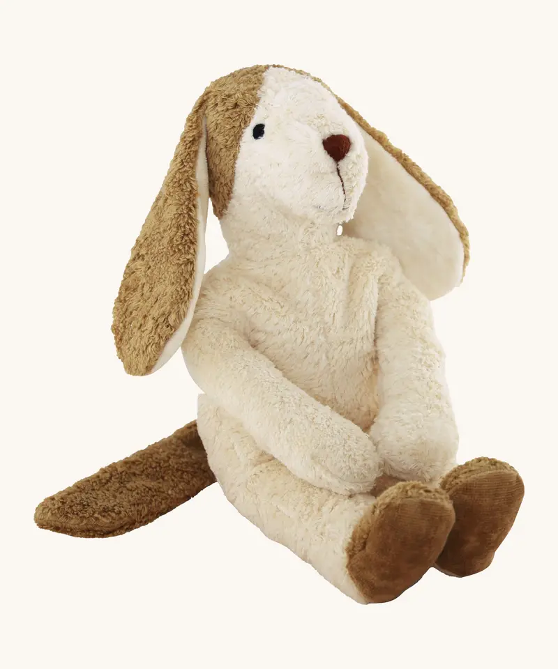 Senger Large Floppy Dog 1