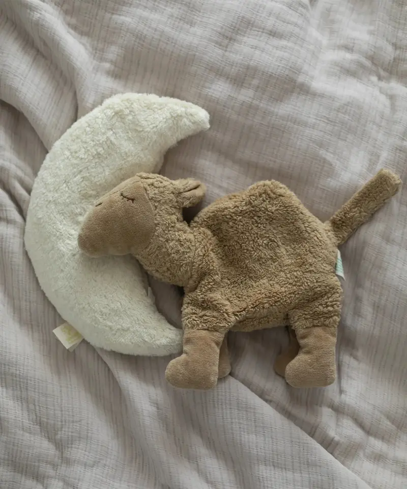 Senger Small Cuddly Camel 1