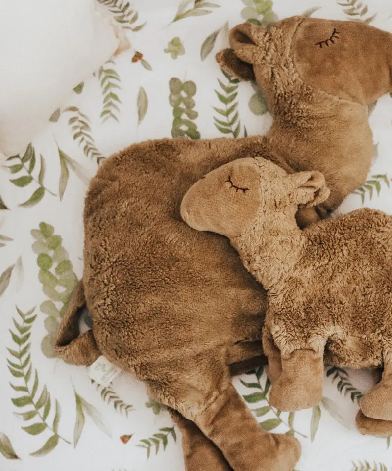 Senger Small Cuddly Camel 2