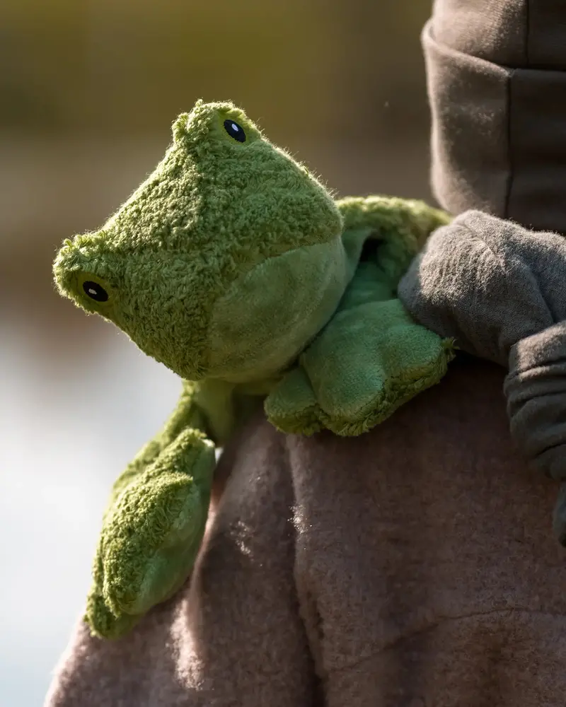 Senger Small Cuddly Frog 1