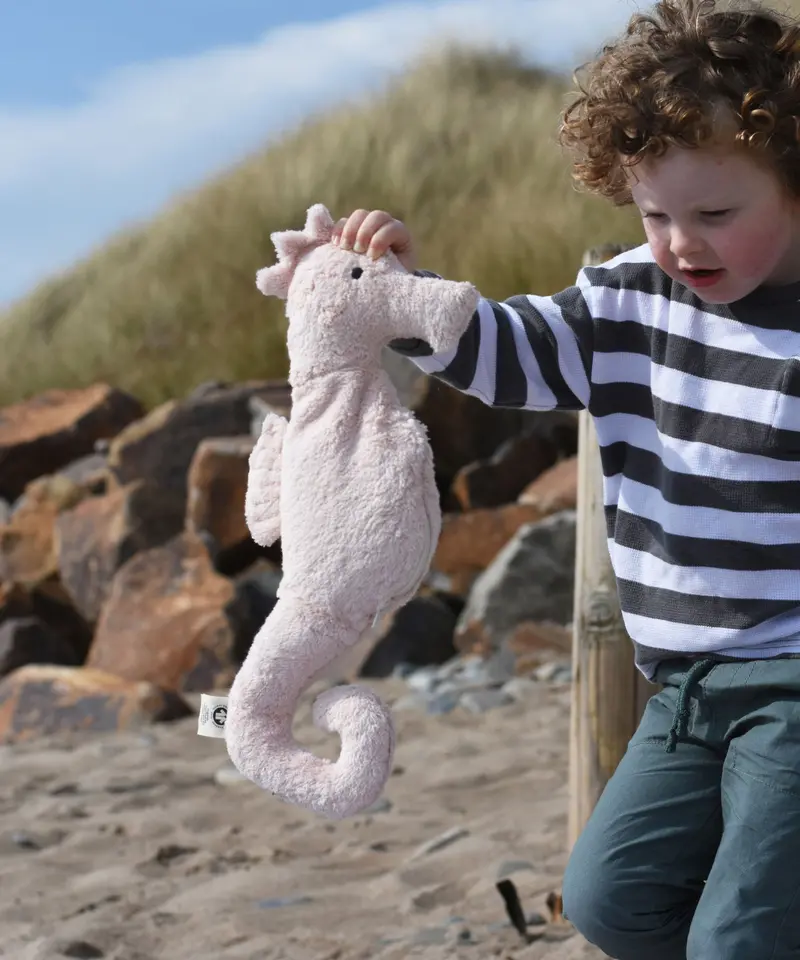 Senger Small Cuddly Seahorse 1