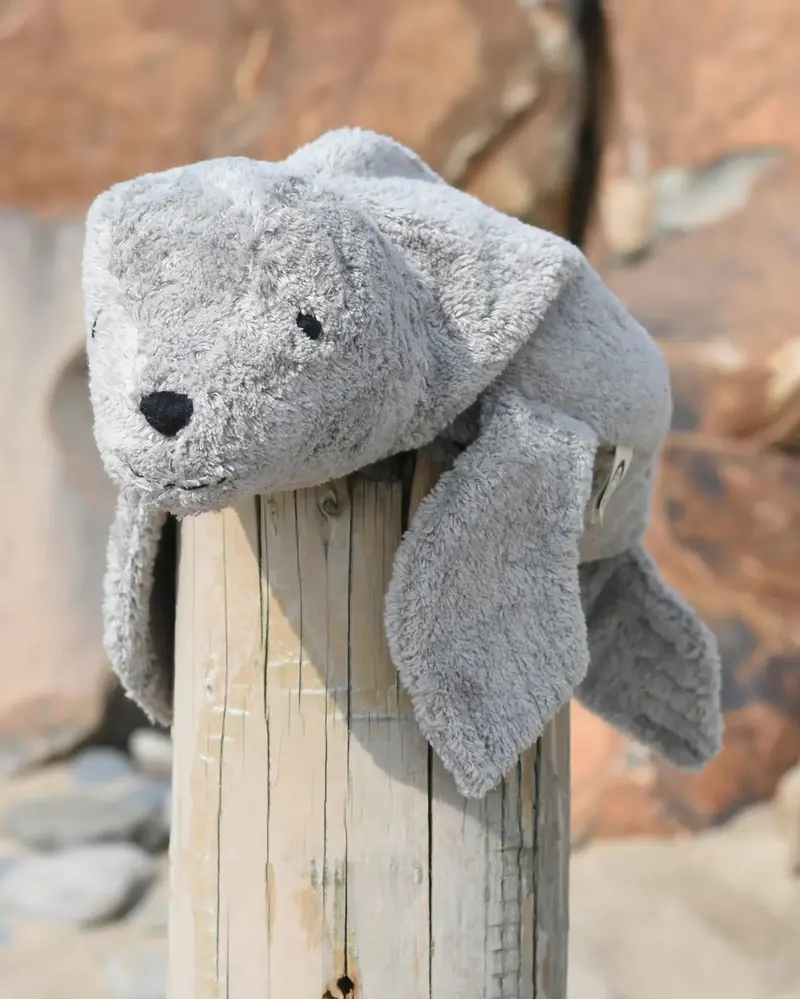 Senger Small Cuddly Seal - Grey 1