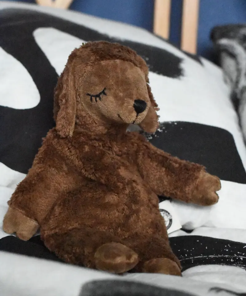 Senger Small Cuddly Sheep - Brown 1