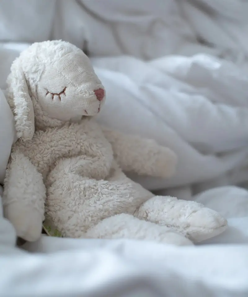 Senger Small Cuddly Sheep - White 1