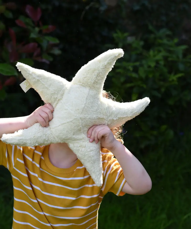 Senger Small Cuddly Starfish 1