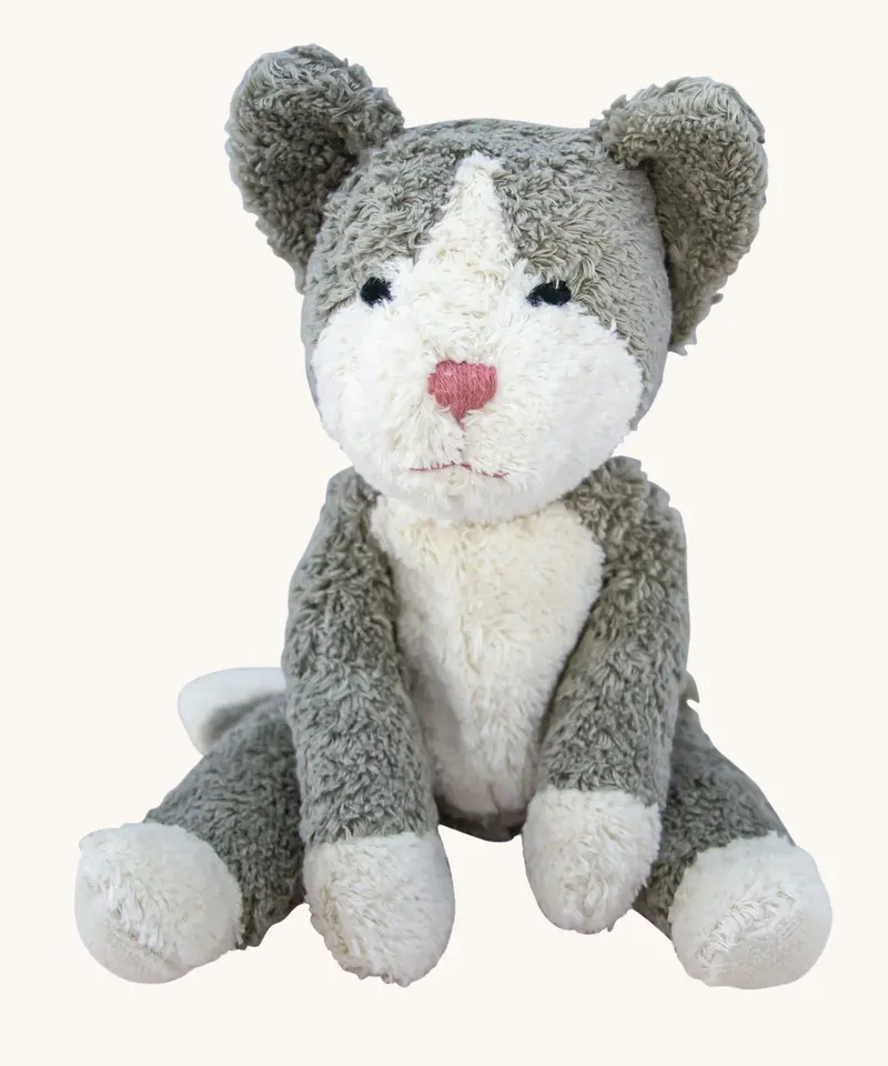 Senger Small Floppy Cat 1