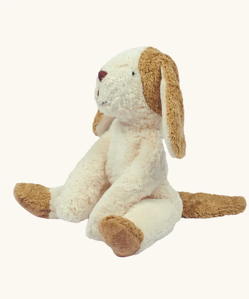 Senger Small Floppy Dog 1