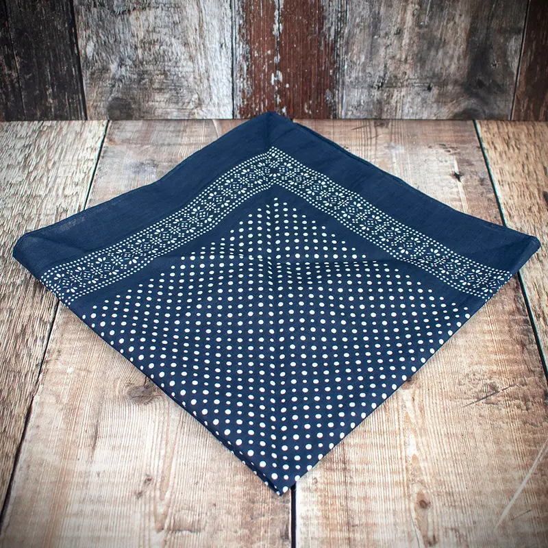 Snuff Handkerchief - Blue Patterned Border & Polka Dots 2