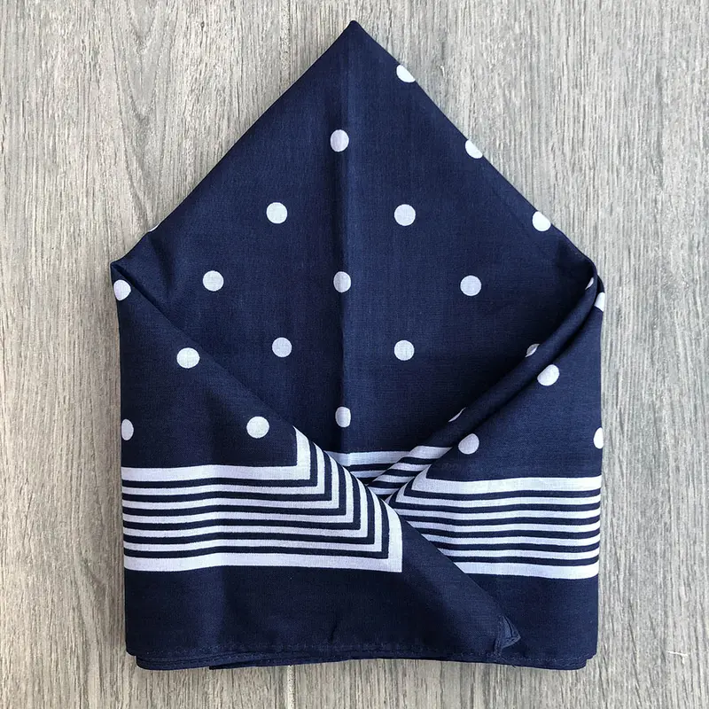 Snuff Handkerchief - Blue Stripes & Polka Dots 1
