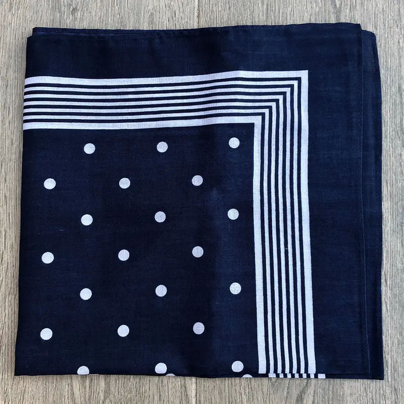 Snuff Handkerchief - Blue Stripes & Polka Dots 2