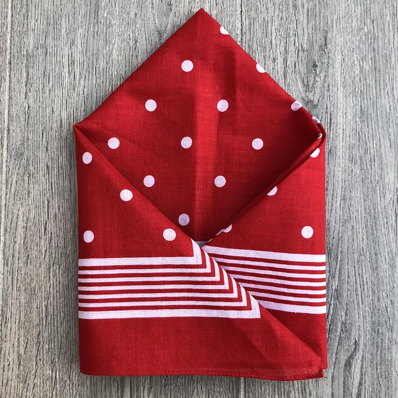Snuff Handkerchief - Red Stripes & Polka Dots 1