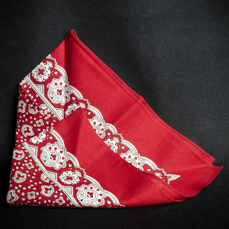 Snuff Handkerchief - White Paisley Pattern 1