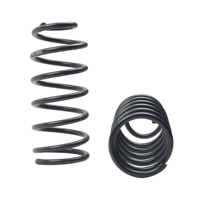St Muscle Car Springs Chevrolet Camaro / Pontiac Firebird 2