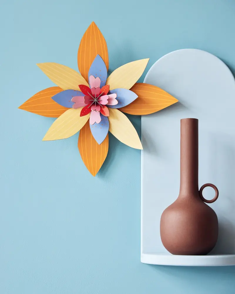 Studio Roof Apricot Sorbet 2