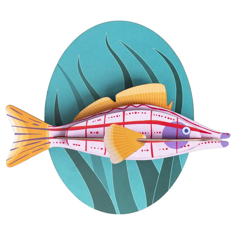 Studio Roof Big Fishes - Longnose Hawkfish 1