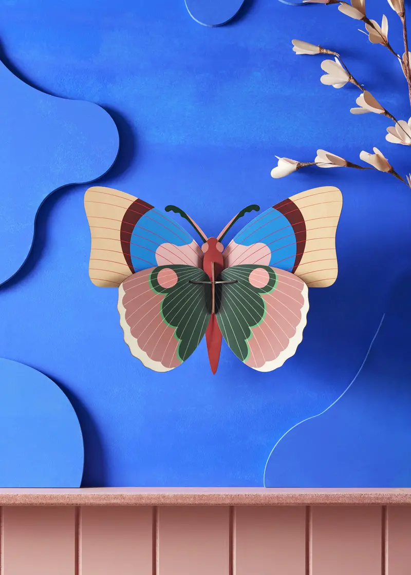 Studio Roof Big Giant Cepora Butterfly Cardboard Model 2