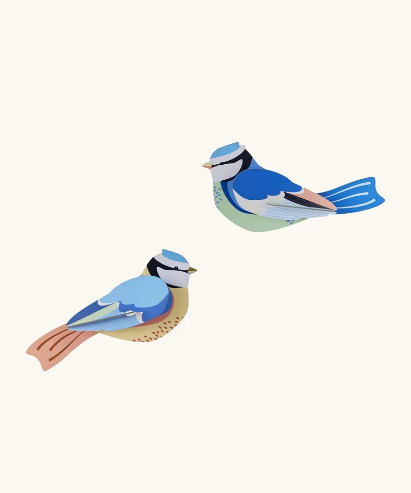 Studio Roof Cardboard Model - Blue Tits 1