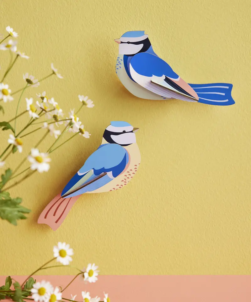 Studio Roof Cardboard Model - Blue Tits 2
