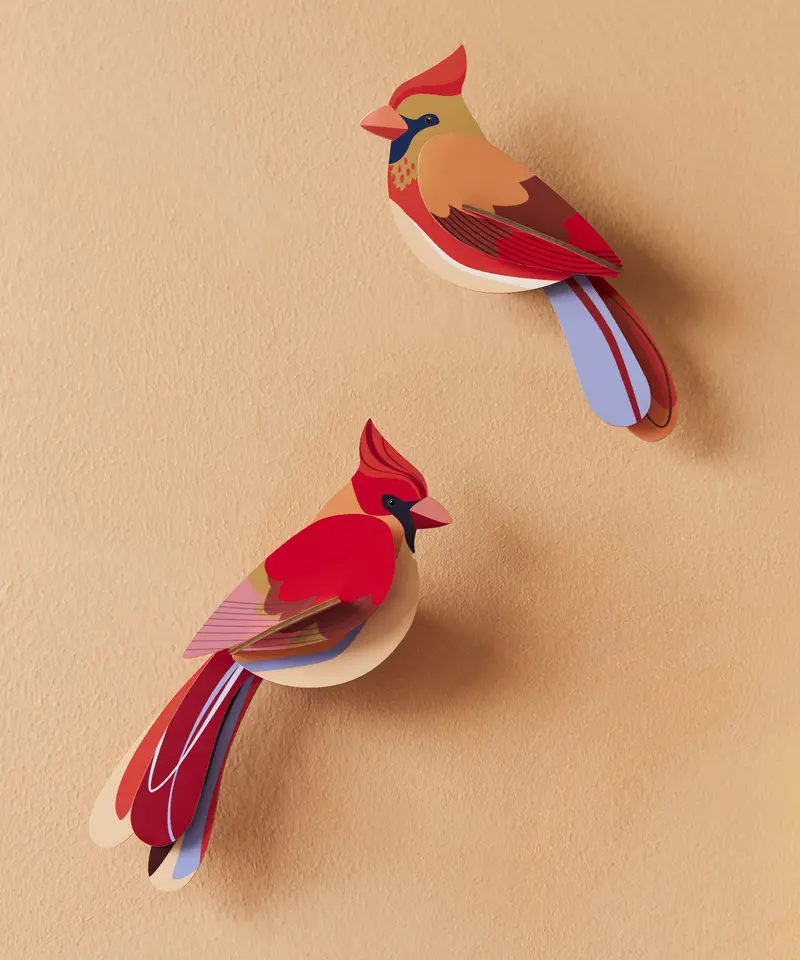 Studio Roof Cardboard Model - Cardinals 2