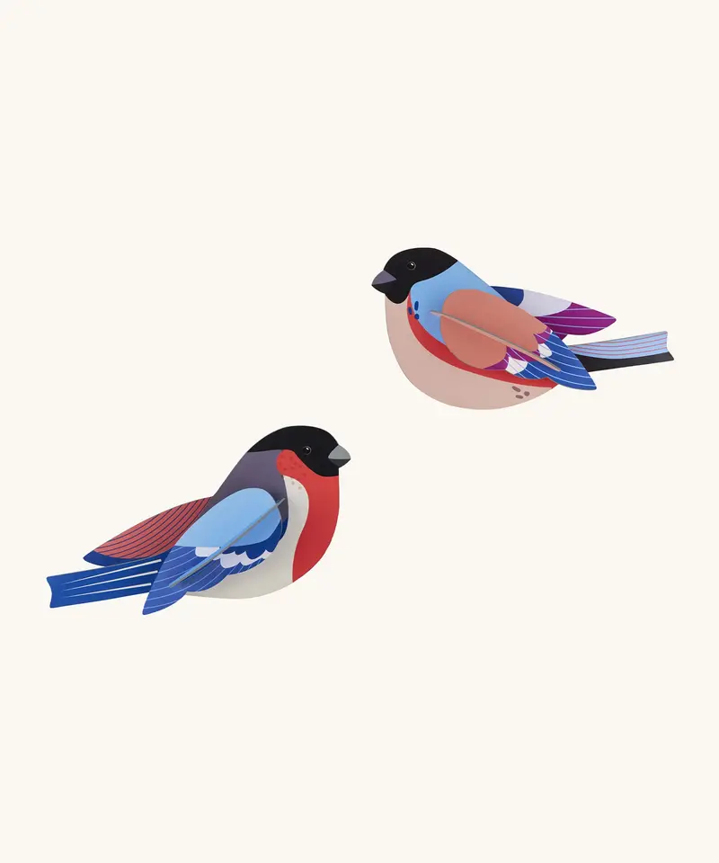 Studio Roof Cardboard Model - Finches 1