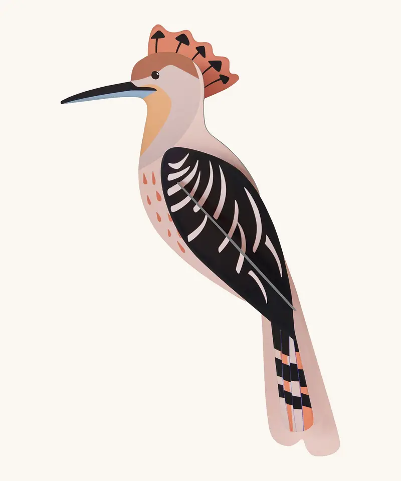 Studio Roof Cardboard Model - Hoopoe 1