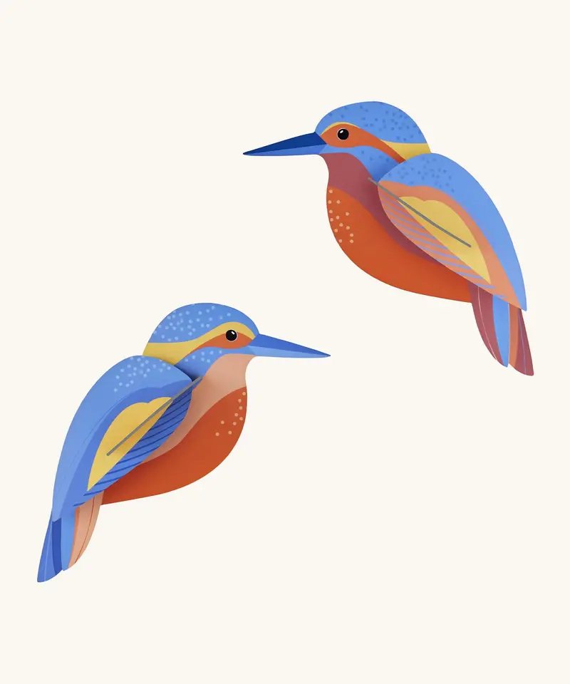 Studio Roof Cardboard Model - Kingfishers 1