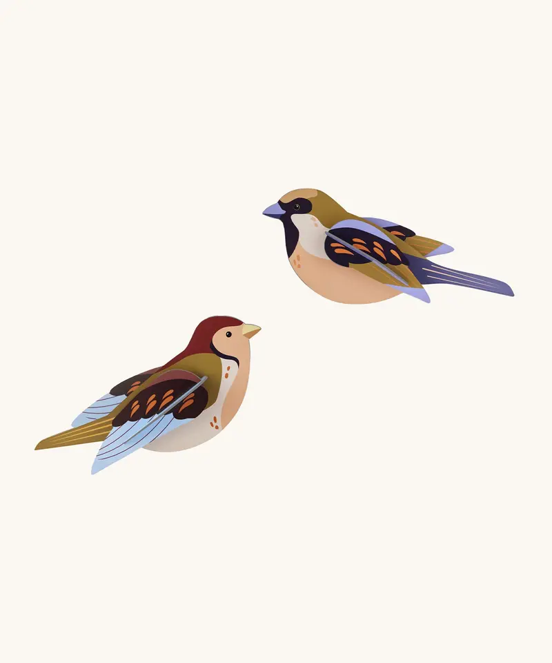 Studio Roof Cardboard Model - Sparrows 1