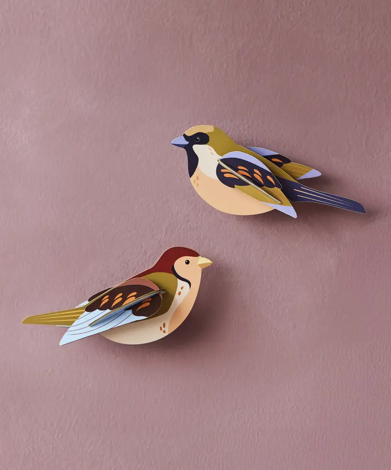 Studio Roof Cardboard Model - Sparrows 2