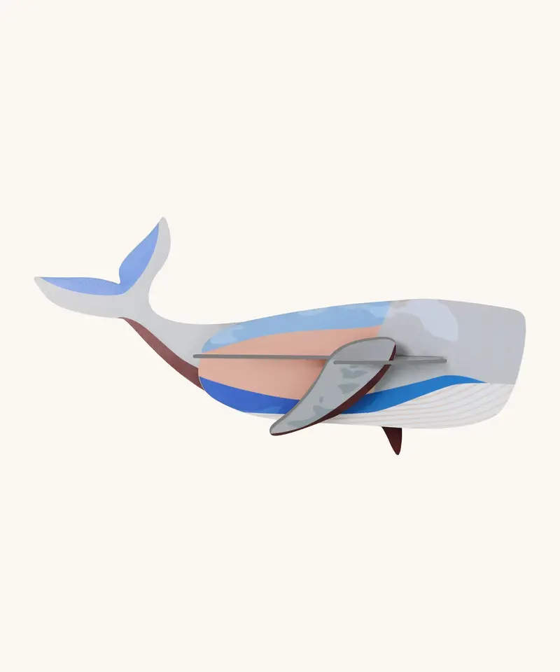 Studio Roof Cardboard Model - Whale 1