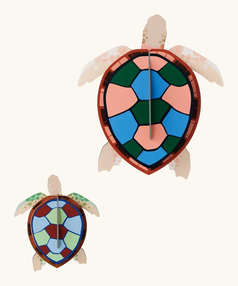 Studio Roof Cardboard Models - Sea Turtles 1