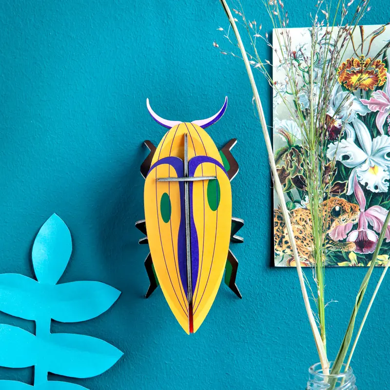 Studio Roof Click Beetle 2