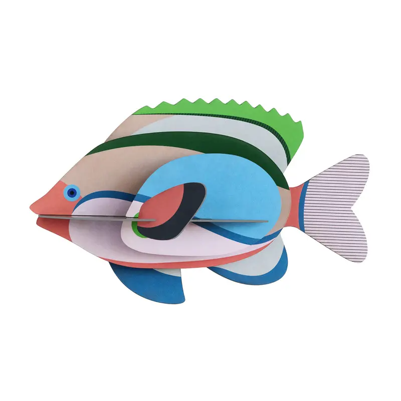 Studio Roof Fairy Wrasse 1