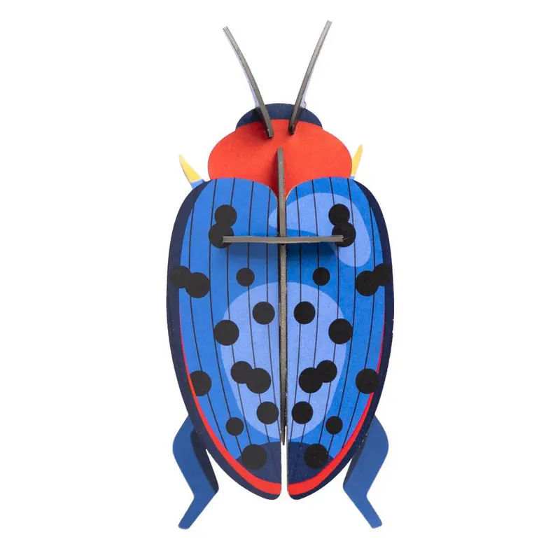 Studio Roof Fungus  Beetle 1
