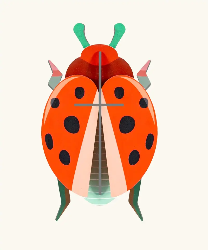 Studio Roof Ladybird 3D Cardboard Wall Art 1