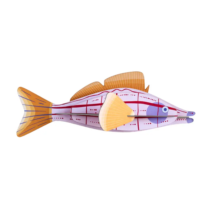 Studio Roof Longnose Hawkfish 1