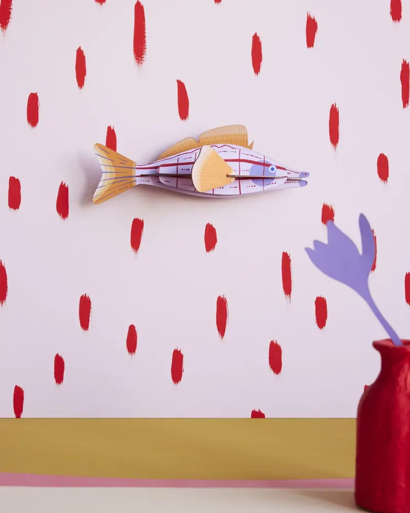 Studio Roof Longnose Hawkfish 2