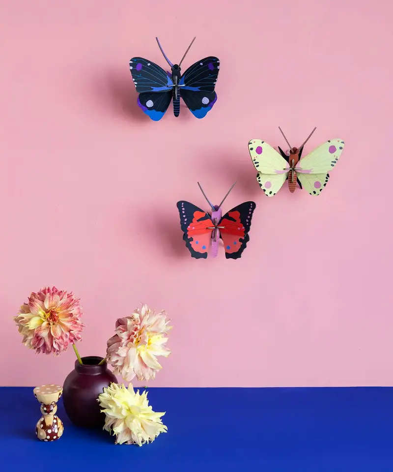 Studio Roof Luzerne Butterfly 3D Cardboard Wall Art 2