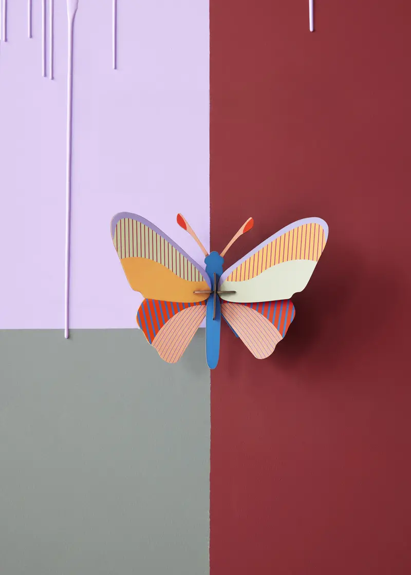 Studio Roof Medium Cleo Butterfly Cardboard Model 2