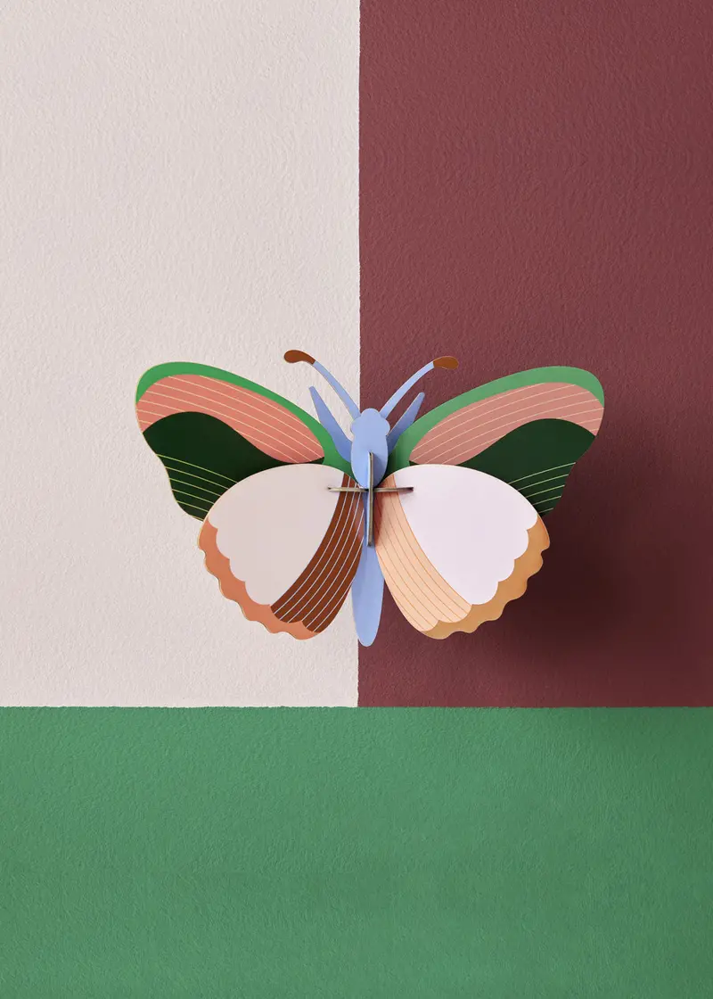 Studio Roof Medium Sycamore Butterfly Cardboard Model 2